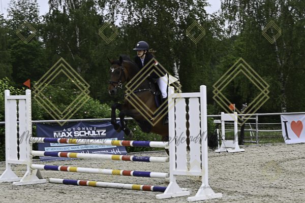 Fränkische Meisterschaft - Prüfung 20, Springpr.Kl.A** - Image 3