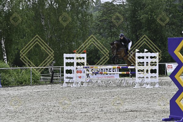 Fränkische Meisterschaft - Prüfung 10, Springpr. Kl. L - Image 3