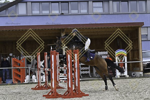 Fränkische Meisterschaft - Prüfung 10, Springpr. Kl. L - Image 6