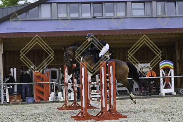 Fränkische Meisterschaft - Prüfung 10, Springpr. Kl. L - Image 7