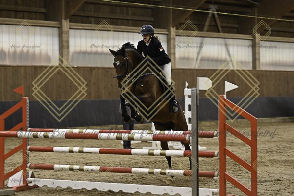 Fränkische Meisterschaft - Prüfung 11, Springpr. Kl. L - Image 6