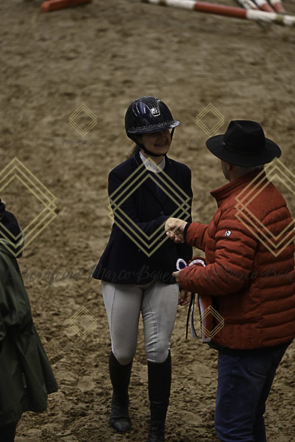Fränkische Meisterschaft - Prüfung 11, Springpr. Kl. L - Image 16