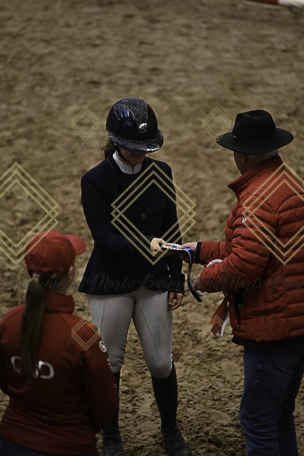 Fränkische Meisterschaft - Prüfung 11, Springpr. Kl. L - Image 18