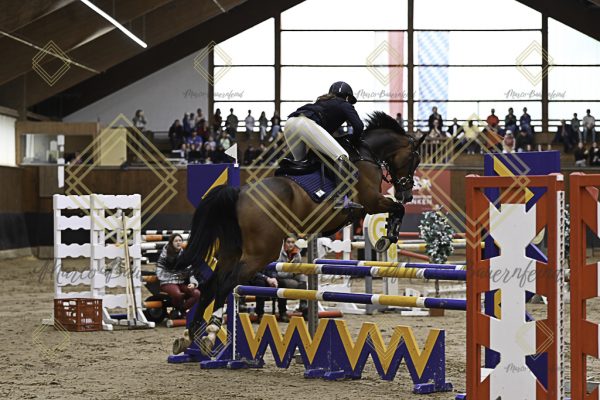 Fränkische Meisterschaft - Prüfung 12, Springpr. Kl. L - Image 11