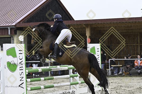 Fränkische Meisterschaft - Prüfung 7, Springpr. Kl. L - Image 3