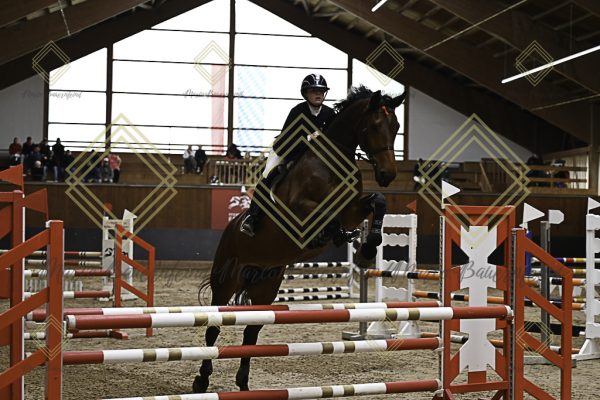 Fränkische Meisterschaft - Prüfung 21, Ponystilpr. Kl. A** m.St. - Image 3
