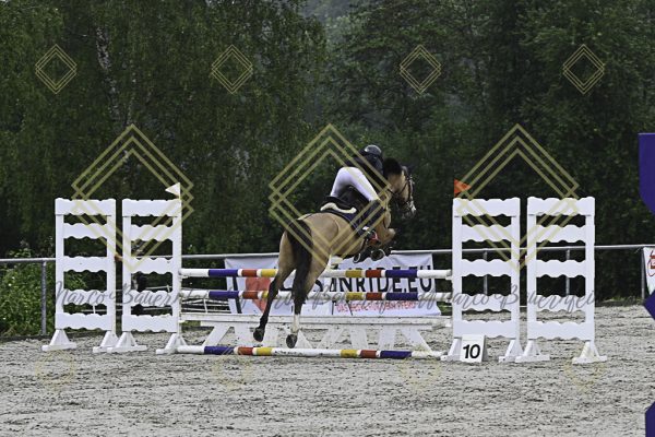 Fränkische Meisterschaft - Prüfung 13, Springpr. Kl. A** - Image 5
