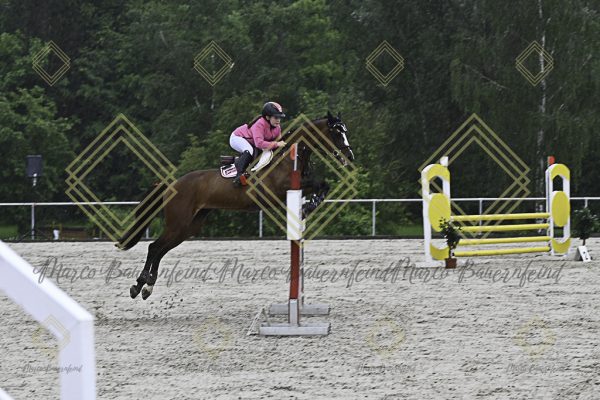 Fränkische Meisterschaft - Prüfung 13, Springpr. Kl. A** - Image 6