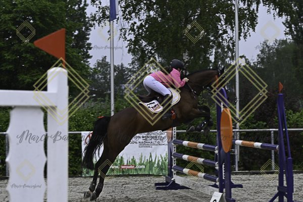Fränkische Meisterschaft - Prüfung 13, Springpr. Kl. A** - Image 9