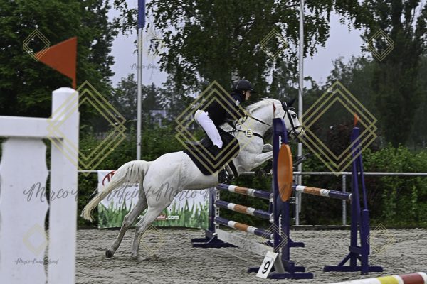Fränkische Meisterschaft - Prüfung 13, Springpr. Kl. A** - Image 11