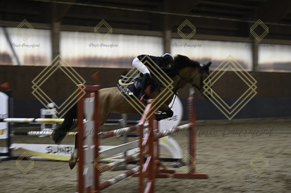 Fränkische Meisterschaft - Prüfung 15, Ponystilpr. Kl. L - Image 3