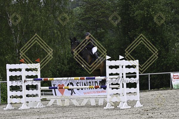 Fränkische Meisterschaft - Prüfung 18, Springpr. Kl. M* - Image 2