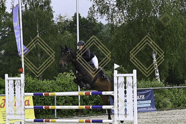 Fränkische Meisterschaft - Prüfung 18, Springpr. Kl. M* - Image 3