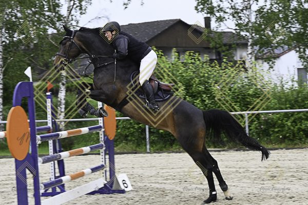 Fränkische Meisterschaft - Prüfung 18, Springpr. Kl. M* - Image 4