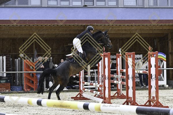 Fränkische Meisterschaft - Prüfung 18, Springpr. Kl. M* - Image 6
