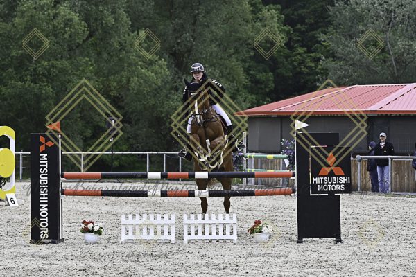Fränkische Meisterschaft - Prüfung 19, Springpr. Kl. L - Image 2