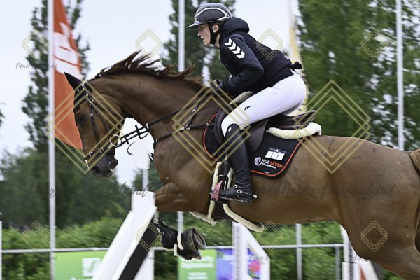 Fränkische Meisterschaft - Prüfung 19, Springpr. Kl. L - Image 3