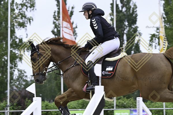 Fränkische Meisterschaft - Prüfung 19, Springpr. Kl. L - Image 4