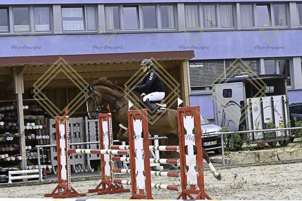 Fränkische Meisterschaft - Prüfung 19, Springpr. Kl. L - Image 5