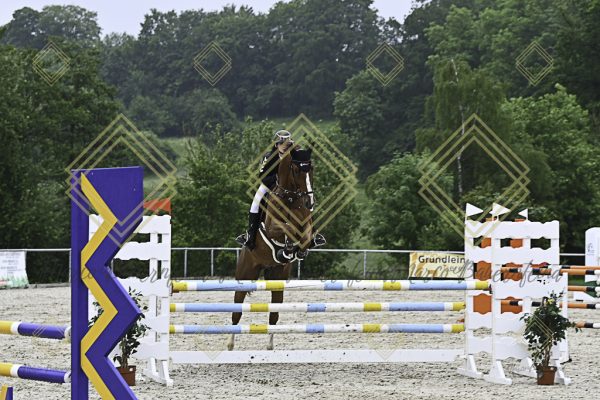 Fränkische Meisterschaft - Prüfung 19, Springpr. Kl. L - Image 6