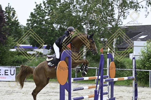 Fränkische Meisterschaft - Prüfung 19, Springpr. Kl. L - Image 7