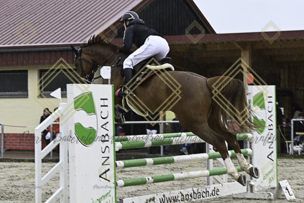 Fränkische Meisterschaft - Prüfung 7, Springpr. Kl. L - Image 7