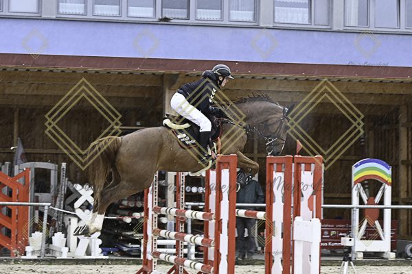 Fränkische Meisterschaft - Prüfung 7, Springpr. Kl. L - Image 10