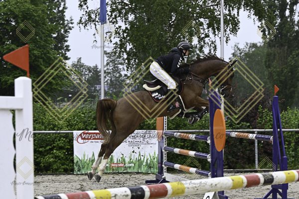 Fränkische Meisterschaft - Prüfung 7, Springpr. Kl. L - Image 11