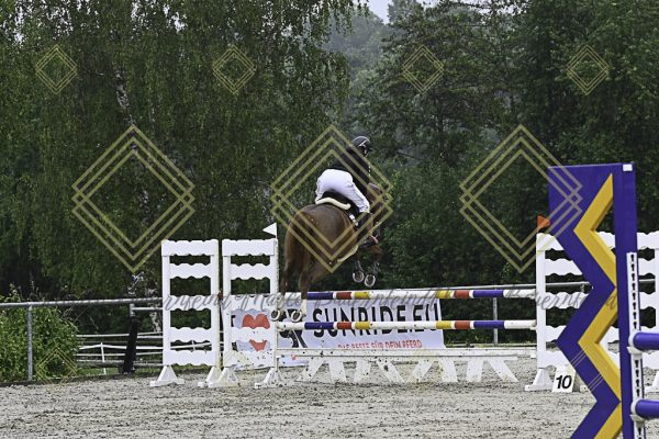 Fränkische Meisterschaft - Prüfung 7, Springpr. Kl. L - Image 12
