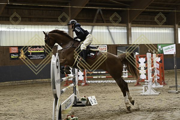 Fränkische Meisterschaft - Prüfung 8, Springpr. Kl. M* - Image 5