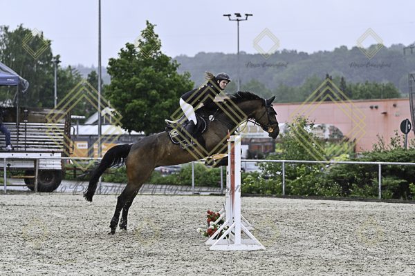 Fränkische Meisterschaft - Prüfung 4, Springpr. Kl. M* - Image 4