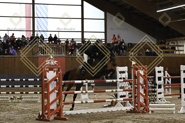 Fränkische Meisterschaft - Prüfung 5, Springpr. Kl. M** - Image 3