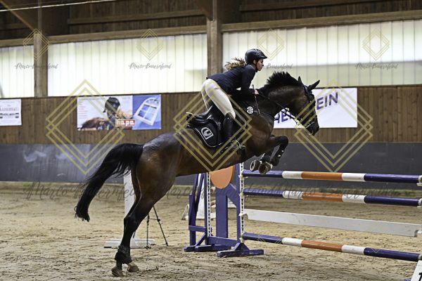 Fränkische Meisterschaft - Prüfung 6, Springpr. Kl. M** - Image 3