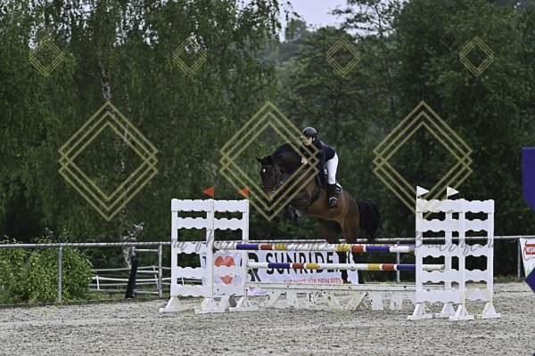Fränkische Meisterschaft - Prüfung 10, Springpr. Kl. L - Image 10
