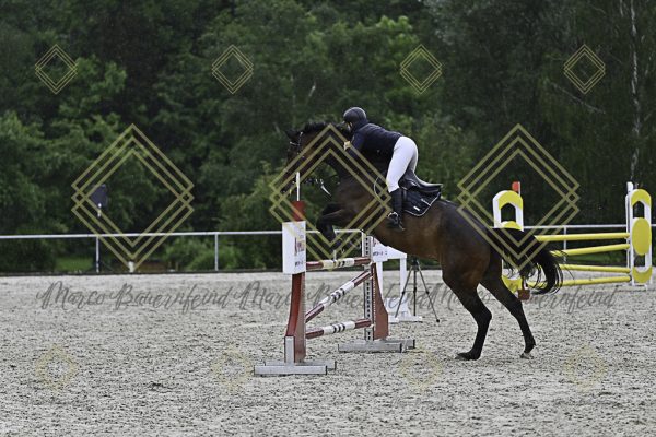 Fränkische Meisterschaft - Prüfung 10, Springpr. Kl. L - Image 13