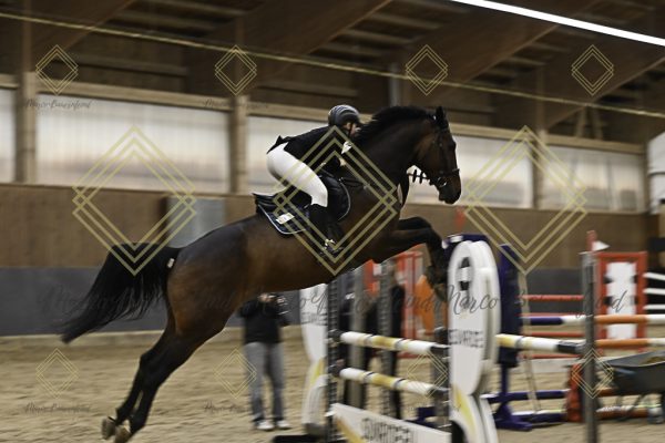 Fränkische Meisterschaft - Prüfung 11, Springpr. Kl. L - Image 25