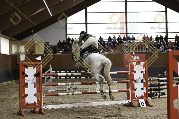 Fränkische Meisterschaft - Prüfung 2, Springpr. Kl. S* - Image 8