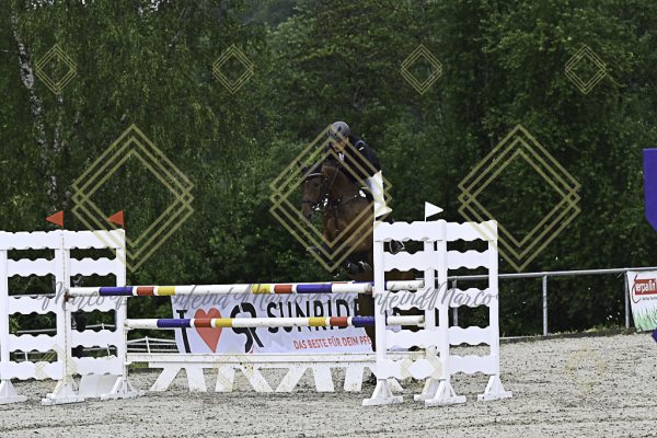 Fränkische Meisterschaft - Prüfung 18, Springpr. Kl. M* - Image 8