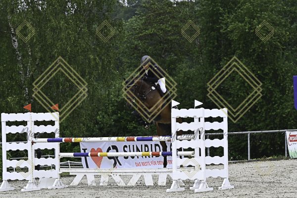 Fränkische Meisterschaft - Prüfung 18, Springpr. Kl. M* - Image 9