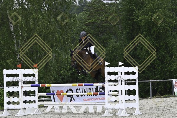 Fränkische Meisterschaft - Prüfung 18, Springpr. Kl. M* - Image 10