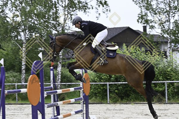 Fränkische Meisterschaft - Prüfung 18, Springpr. Kl. M* - Image 11