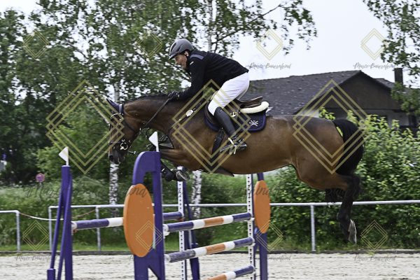 Fränkische Meisterschaft - Prüfung 18, Springpr. Kl. M* - Image 12