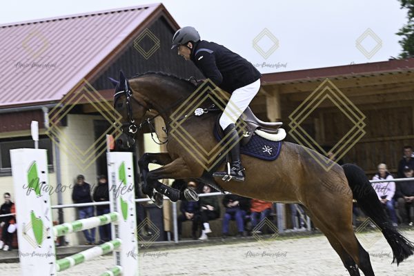 Fränkische Meisterschaft - Prüfung 18, Springpr. Kl. M* - Image 13