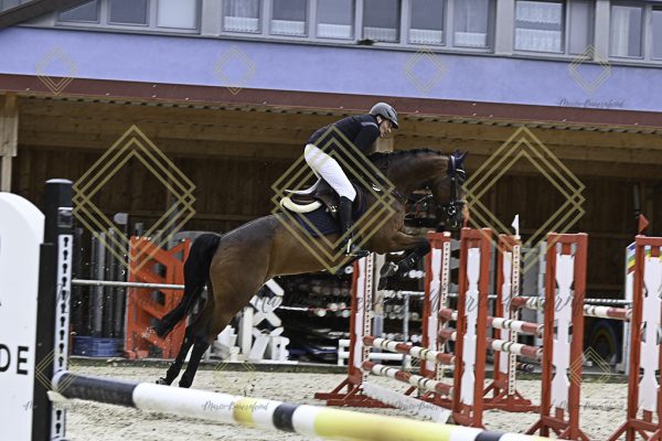 Fränkische Meisterschaft - Prüfung 18, Springpr. Kl. M* - Image 15