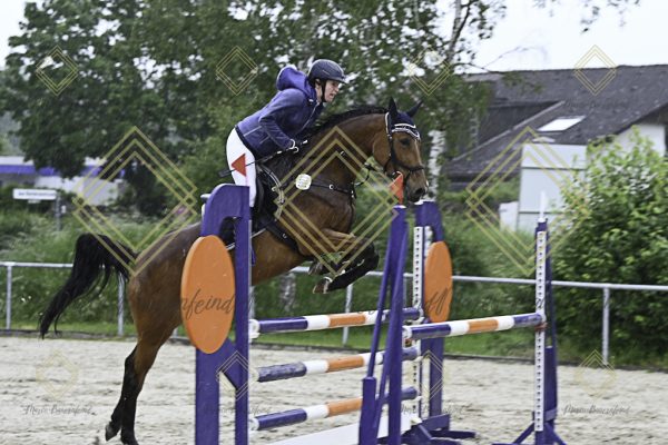 Fränkische Meisterschaft - Prüfung 19, Springpr. Kl. L - Image 11