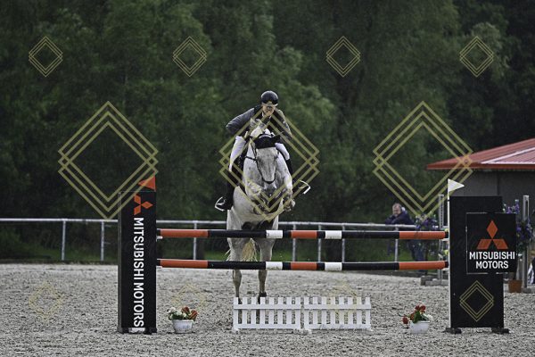 Fränkische Meisterschaft - Prüfung 4, Springpr. Kl. M* - Image 10