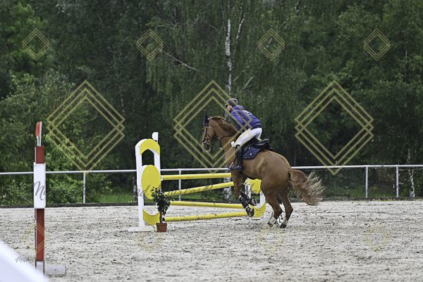 Fränkische Meisterschaft - Prüfung 7, Springpr. Kl. L - Image 13