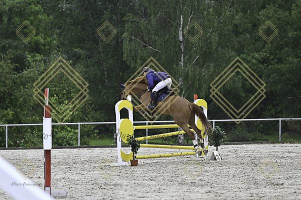Fränkische Meisterschaft - Prüfung 7, Springpr. Kl. L - Image 15
