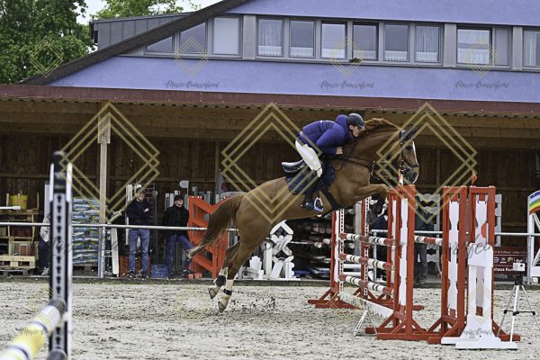 Fränkische Meisterschaft - Prüfung 7, Springpr. Kl. L - Image 16