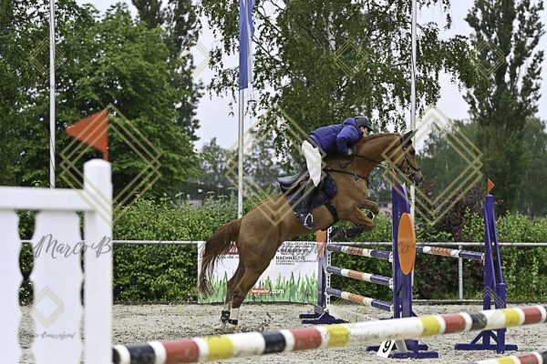 Fränkische Meisterschaft - Prüfung 7, Springpr. Kl. L - Image 18